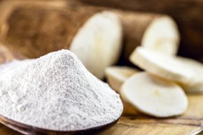 แป้งฟังก์ชัน: พลังนวัตกรรมอาหารเพื่อสุขภาพและโลกที่ยั่งยืน Functional Starch:  A Key Milestone Toward a Healthier and More Sustainable Food Industry