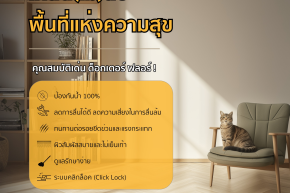 พื้น SPC