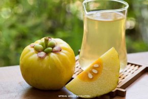 ส้มแขก (Garcinia Cambogia): เครื่องมือในการลดน้ำหนัก