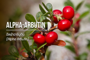 Alpha Arbutin / อัลฟ่าอาร์บูติน