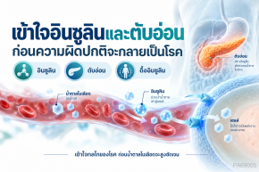 เข้าใจอินซูลินและตับอ่อน ก่อนความผิดปกติจะกลายเป็นโรค