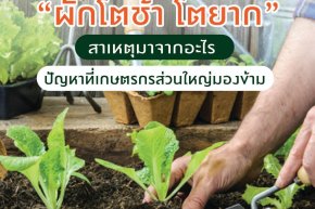 ปัญหาผักโตช้า โตยาก!!!
