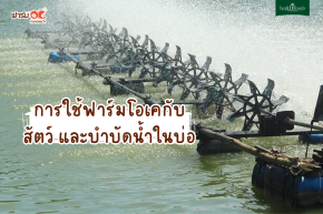 การใช้ฟาร์มโอเคกับ สัตว์ และบำบัดน้ำในบ่อ