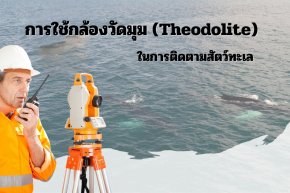 การใช้กล้องวัดมุม (Theodolite) ในการติดตามสัตว์ทะเล