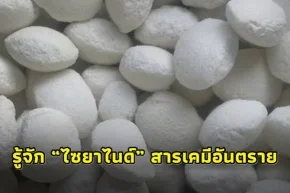 Cyanide สารอันตราย ความเสี่ยง และวิธีการรับมือ