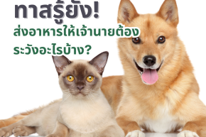 ทาสรู้ยัง! ส่งอาหารให้เจ้านายต้องระวังอะไรบ้าง?
