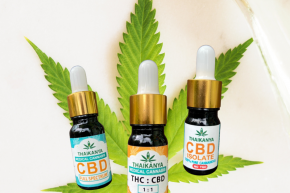 Cannabis oil can be used to apply to fresh wounds and stitched wounds