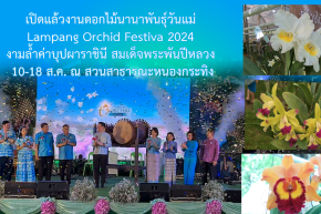 เปิดแล้ว!!! งานดอกไม้นานาพันธุ์วันแม่ Lampang Orchid Festiva 2024 งามล้ำค่าบุปผาราชินี สมเด็จพระพันปีหลวง10-18 สิงหา ชมความสวยงามของดอกกล้วยไม้แคทลียาควีนสิริกิตติ์ใหญ่ที่สุดในประเทศไทย