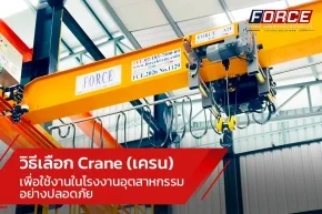 เครน-cranes