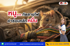 หนูกัดสายไฟรถยนต์ควรป้องกันยังไง?