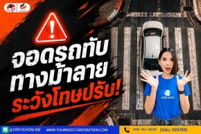 หยุดรถ-จอดรถทับทางม้าลาย ระวังโทษปรับ