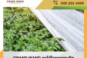 ผ้าสปันบอนด์ ผ้าที่เป็นมิตรกับสิ่งแวดล้อม