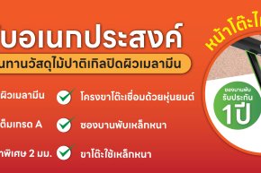 Content_โต๊ะพับอเนกประสงค์ 19 มม.