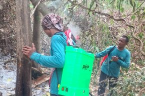 เขตประกอบการอุตสาหกรรมไทยอีสเทิร์น ร่วมภารกิจควบคุมไฟป่า ลดผลกระทบชุมชนและสิ่งแวดล้อม