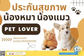 ประกันสุขภาพหมาแมว คุ้มครองค่ารักษาพยาบาลจากเจ็บป่วยและอุบัติเหตุ