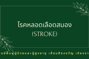 โรคหลอดเลือดสมอง (Stroke) บำบัดได้ด้วยเวชศาสตร์ฟื้นฟู+กายภาพ