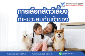  การเลือกสัตว์เลี้ยงที่เหมาะสมกับเจ้าของ | โรงพยาบาลสัตว์เอราวัณ