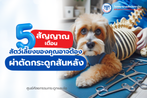 โรงพยาบาลสัตว์เอราวัณ (Erawan Pet Hospital)