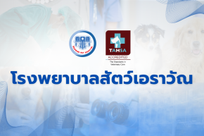 โรงพยาบาลสัตว์เอราวัณ (Erawan Pet Hospital)