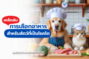 โรงพยาบาลสัตว์เอราวัณ (Erawan Pet Hospital)