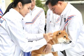เพราะทุกชีวิตสำคัญ พรรครวมไทยสร้างชาติ เดินหน้านโยบายโรงพยาบาลสัตว์ราคาถูก เริ่มต้นด้วยความใส่ใจ