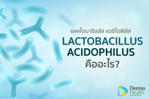 แลคโตบาซิลลัส แอซิโดฟิลัส (Lactobacillus acidophilus) คืออะไร