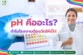 พื้นฐานการวัดค่า pH ในอุตสาหกรรม: เรื่อง "จิ๋ว" ที่ส่งผล "ใหญ่" ต่อไลน์ผลิต 