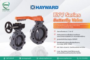 Hayward BYV Series  Butterfly Valve 