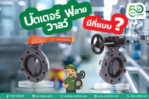 Butterfly Valve คืออะไร? มีกี่แบบ ต่างกันยังไง? 