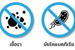 Hidden Germs in Thai Homes and Schools: Silent Dangers from Surfaces Bathrooms and Everyday Objects