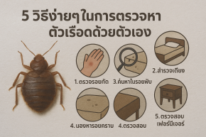 ัตัวเรือด
