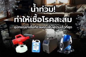 น้ำท่วมทำให้เชื้อโรคสะสม