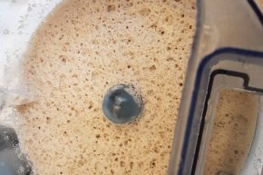 An entryway area rug: Remove Dust Mites at the Root with SIRENA