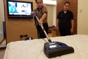 A staircase with a carpet runner: Remove Dust Mites at the Root with SIRENA