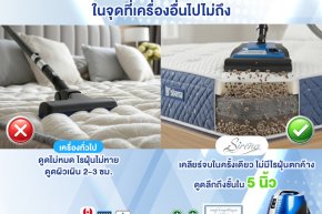 เบาะรถและพรมปูพื้นสะสมกลิ่นและไรฝุ่นจากผู้เช่าที่หมุนเวียนใช้รถแต่ละคันในรถเช่าในกองรถของบริษัท? กำจัดถึงรากไร้สารเคมี ด้วยเครื่องสตรีมไอน้ำความร้อน STEMAR