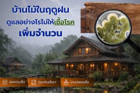 บ้านไม้ในฤดูฝน