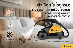 ตัวเรือดในโรงแรม