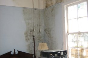 Moldy Wardrobe After the Flood: Rescuing Clothes, Shoes and Leather Bags and Removing the Musty Smell with Ozone Treatment and Disinfection in Lat Krabang, Bangkok (2026)