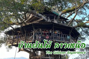 The Gibbon Experience Laos Forest