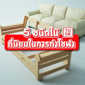 5 ชนิดไม้ ที่นิยมในการทำโซฟา