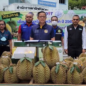 จังหวัดยะลา ยกทัพขบวนทุเรียนตัดใหม่สดจากสวน ส่งตรงถึงเชียงใหม่ ภายใต้คอนเซ็ป “พาทุเรียนยะลาขึ้นดอย” คาดสร้างรายได้กว่า 200 ล้านบาท