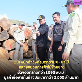 DSI ผนึกกำลังกรมอุทยานฯ - ป่าไม้ ทลายขบวนการค้าไม้ข้ามชาติ ยึดของกลางกว่า 1,598 ลบ.ม. มูลค่าซื้อขายในต่างประเทศกว่า 2,500 ล้านบาท