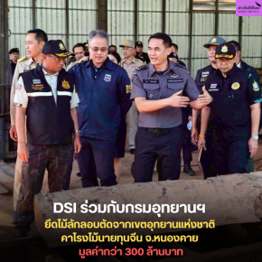 DSI ร่วมกับกรมอุทยานฯ ยึดไม้ลักลอบตัดจากเขตอุทยานแห่งชาติ คาโรงไม้นายทุนจีน จ.หนองคาย มูลค่ากว่า 300 ล้านบาท