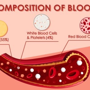 Hemoglobin red blood cell