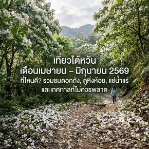 เที่ยวไต้หวันช่วงเมษายนมิถุนายน 2026 ไปไหนดี? รวมดอกทง ไฟหิ่งห้อย น้ำพุร้อน และเทศกาลที่ไม่ควรพลาด