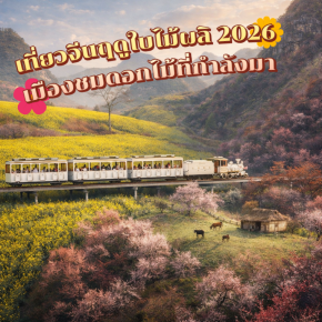 เที่ยวจีนฤดูใบไม้ผลิ 2026: เมืองชมดอกไม้ที่กำลังมา