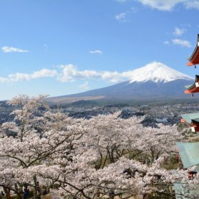 タイから日本帰国後の自宅等待機が不要に! 2020年3月1日～