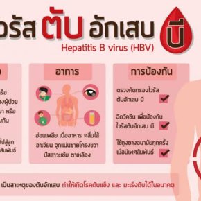 ไวรัสตับอักเสบบี (Hepatitis B Virus)