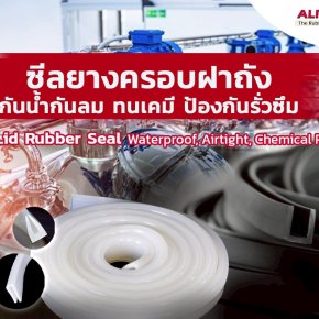 ซีลยางครอบฝาถัง   เกราะป้องกันชั้นเลิศ กันน้ำ กันลม ทนเคมี จบทุกปัญหารั่วซึม