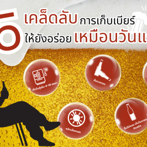 เก็บเบียร์ยังไงให้รสชาติดีเหมือนวันแรก? เคล็ดลับง่าย ๆ ที่คนรักเบียร์ควรรู้